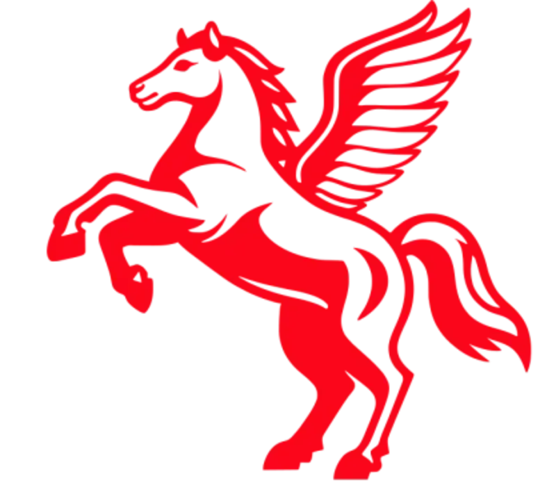 Pegasus Computer Marketing Logo